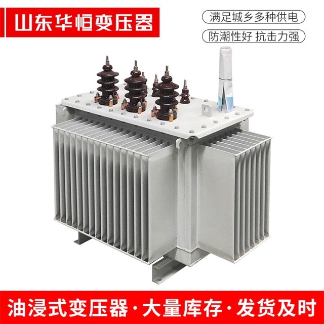 S13-10000/35仙游仙游仙游油浸式变压器厂家